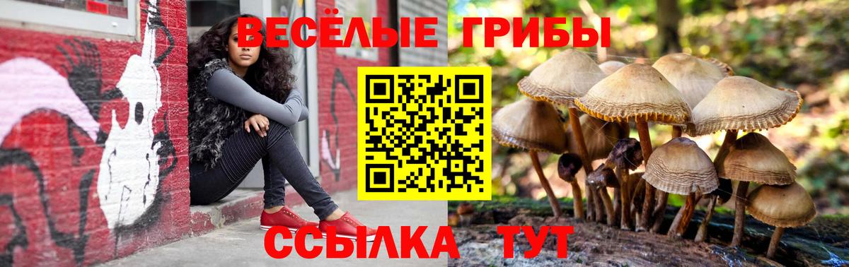 Псилоцибиновые грибы мухоморы Тольятти